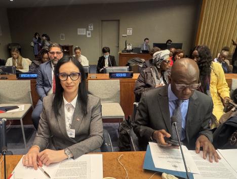 Jelena Žarić Kovačević u UN u Nujorku