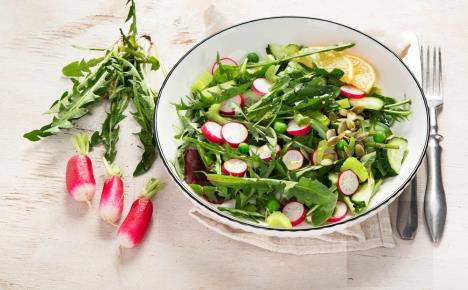 tanjir prolećne salate od maslačka i rotkvica sa sastojcima pored