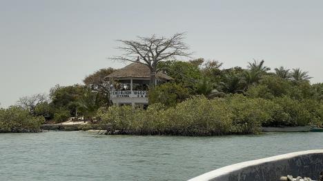 Senegal Viktor Lazić