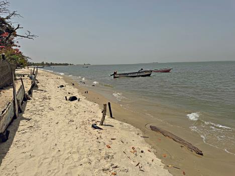 Senegal Viktor Lazić