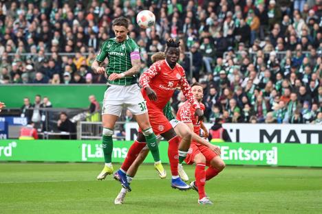 Verder, Majnc, Bundesliga