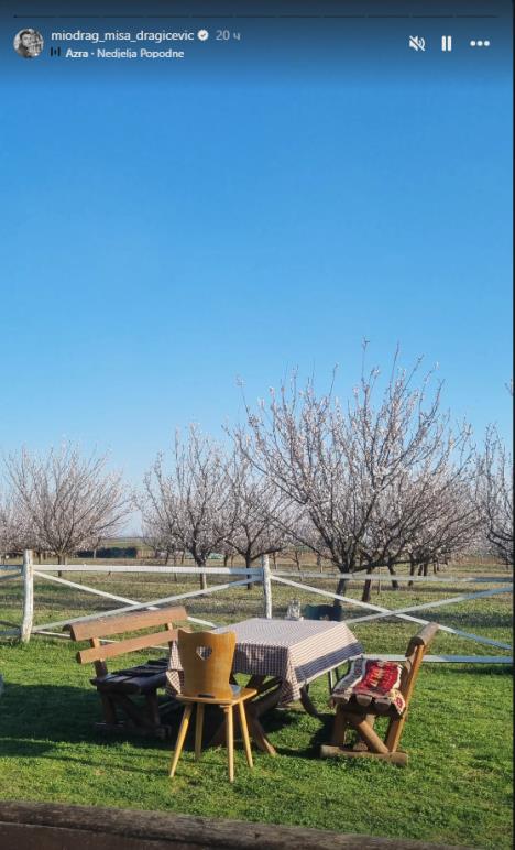 Miodrag Dragičević