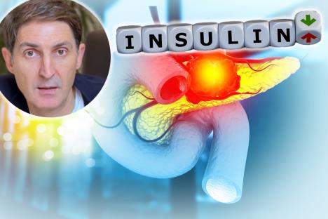 Čubrilo/pankreas/insulin