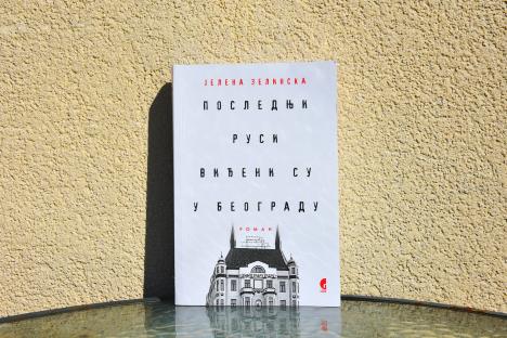 Korice knjige - foto privatna arhiva Jelene Zelinske (2).jpg