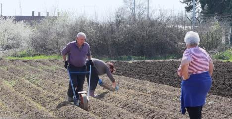 Screenshot 2026-03-17 112856.jpg