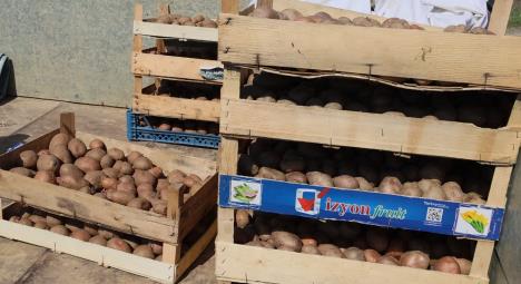 Screenshot 2026-03-17 112937.png