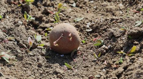 Screenshot 2026-03-17 113023.png