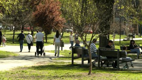 Sequence 01.00_50_48_13.Still006.jpg