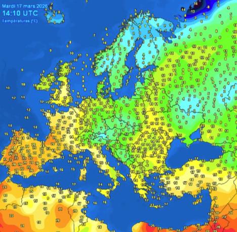 Screenshot 2026-03-17 152404.png