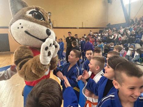 Mali sajam sporta Smederevska Palanka