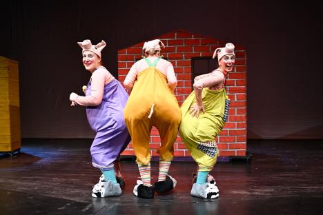 Photo-Bojan Kvrgić.jpg