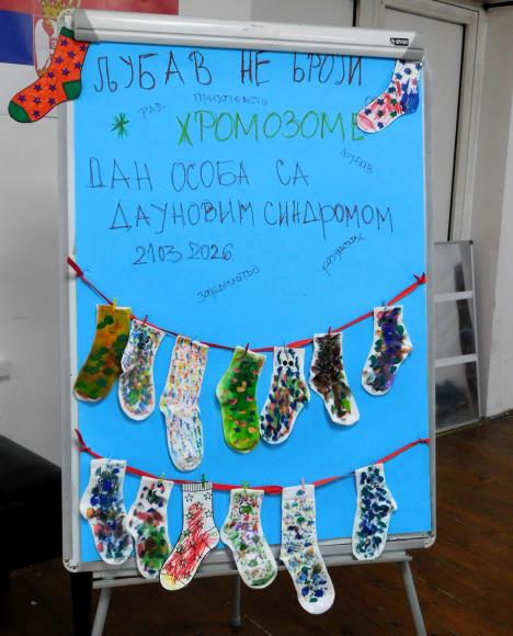 LOZNICA - Svetski dan.JPG