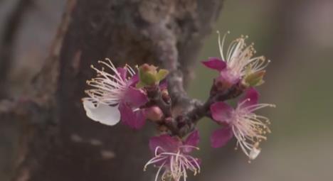 Screenshot 2026-03-22 102927 - Copy.jpg