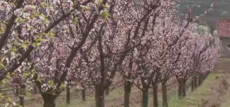 Screenshot 2026-03-22 102933 - Copy.png