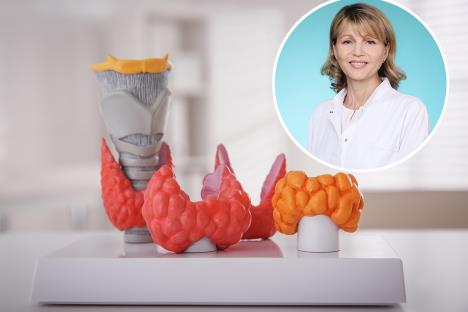 štitna žlezda, čvorići/dr Slađana Drobnjak