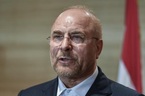 x01 EPA Wael Hamzeh.jpg