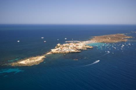 WhatsApp Image 2026-03-25 at 21.03.09 (2).jpeg