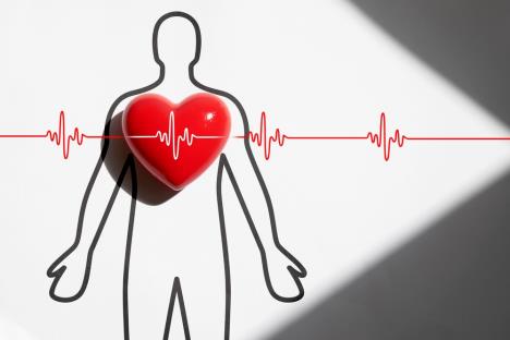 prikaz figure čoveka sa velikim crvenim srcem u prvom plaqnu i linijom za puls