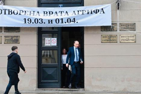 Vladan Đokić (1).jpeg