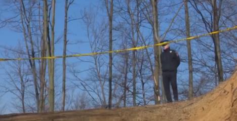 Screenshot 2026-03-27 165400.jpg