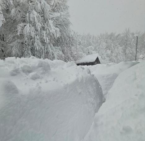 Hrvatska Plitvička jezera sneg.jpg