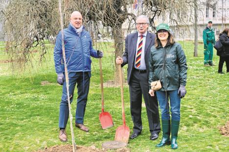 MARKO KAROVIC4 copy.jpg