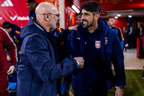 Luis De la Fuente i Veljko Paunović