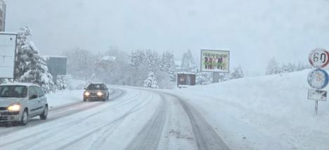 Screenshot 2026-03-29 085433.jpg