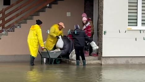 LOZNICA- Vreće u Klupcima.jpg