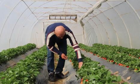 Screenshot 2026-03-30 150457.png