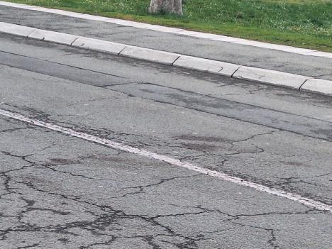 Humska ulica izbodena žena (2).jpeg