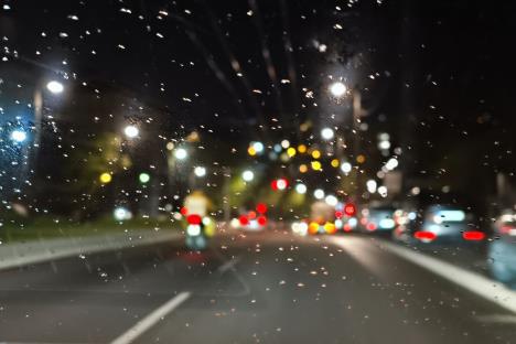 IMG_20260326_235323.jpg
