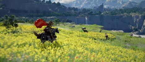 Crimson Desert (10).jpg