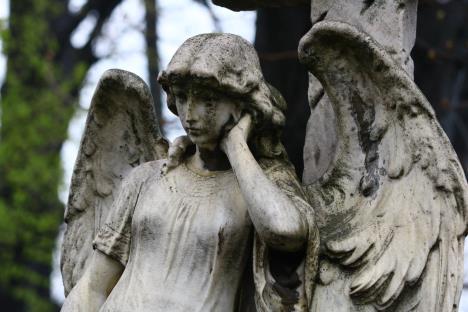 НАСЛОВНА МОНОДО.jpg