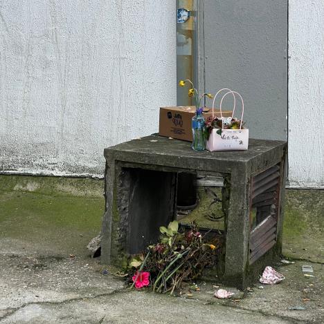 WhatsApp Image 2026-04-01 at 14.56.20.jpeg