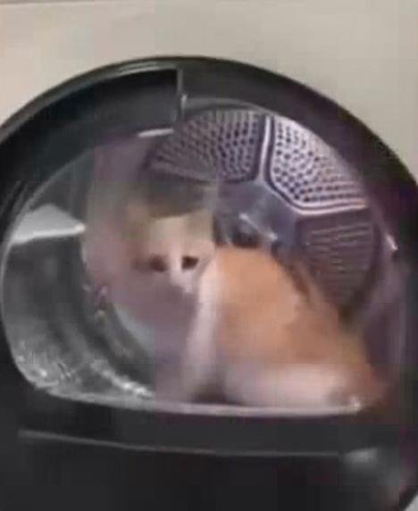 0802    Screenshot_19.jpg