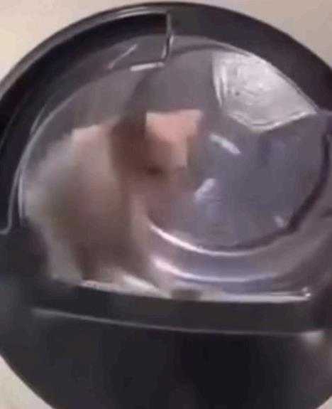 0802    Screenshot_22.jpg