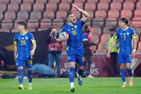 Ermedin Demirović, Fudbalska reprezentacija Bosne i Hercegovine