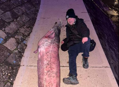 Screenshot 2026-04-02 122343.jpg