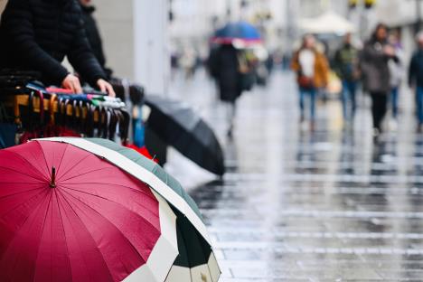 WhatsApp Image 2026-04-03 at 12.18.28 (1).jpeg