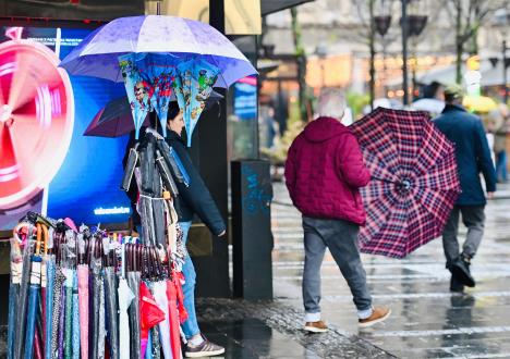 WhatsApp Image 2026-04-03 at 12.18.27 (2).jpeg