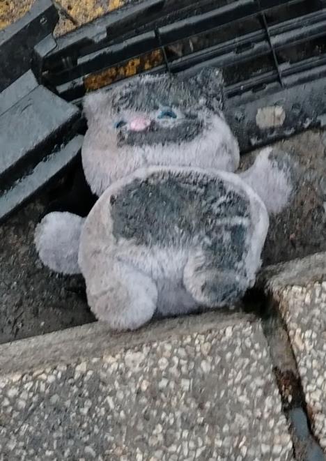 Plišani meda na ulici u Kaluđerici nakon udesa