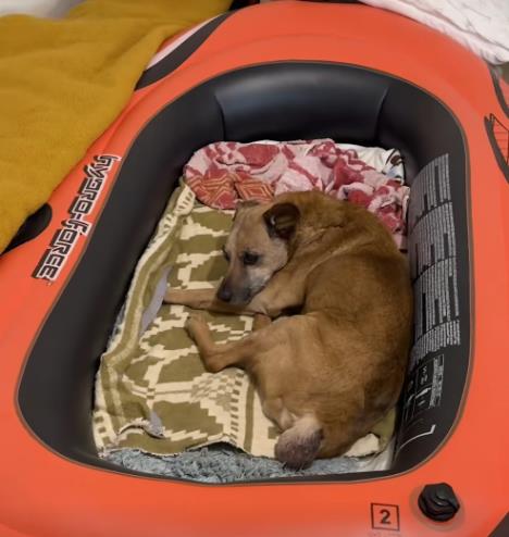 Screenshot 2026-04-05 125815.jpg