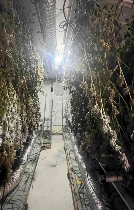 Laboratorija opojnih droga i kanabisa