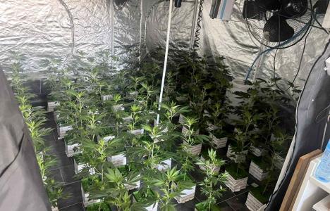 Laboratorija opojnih droga i kanabisa