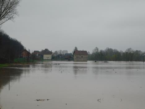 LOZNICA - Jadar se često izliva kod Bradića.JPG