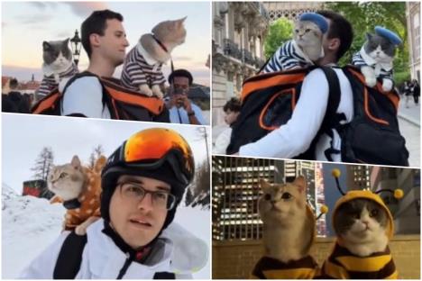 Lazar Joksimović i njegove mačke