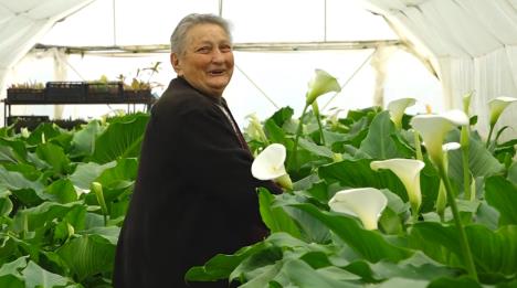 Screenshot 2026-04-06 101714.png