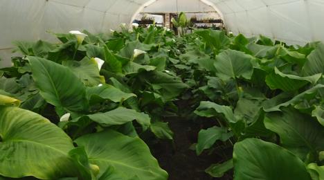 Screenshot 2026-04-06 102752.png