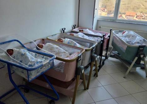 Screenshot 2026-04-06 113849.jpg